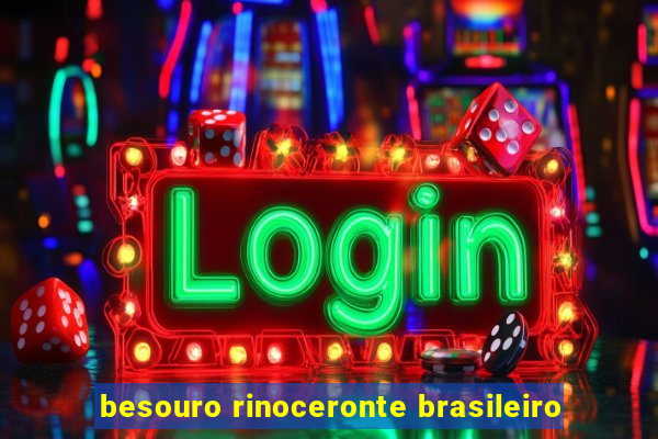 besouro rinoceronte brasileiro